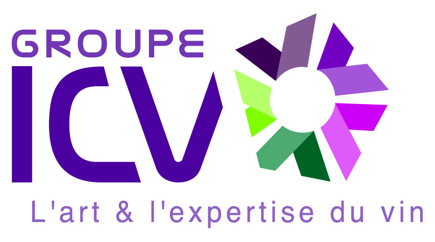 Icv logo quadri